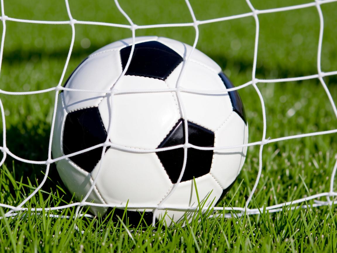 平博官网地址-体育新闻中心协同地方媒体开发体育文化专题报道，体育新闻通讯  第3张